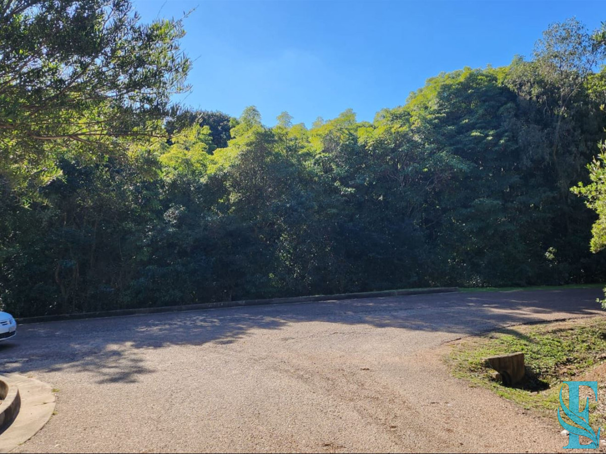 Terreno ID.553 - Vende terreno amplio de 4226 m2, en Las Cumbres- Punta Ballena.