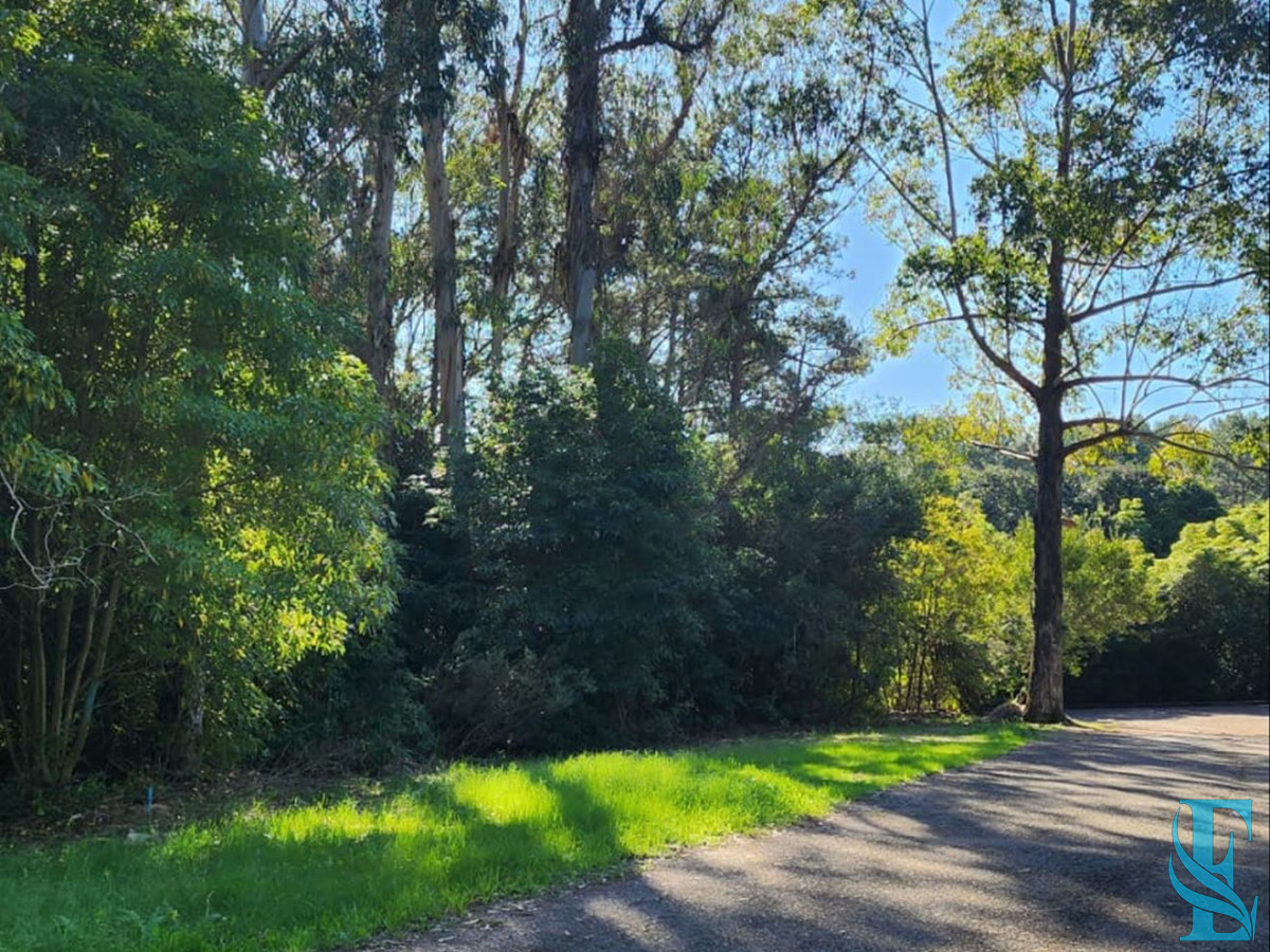 Terreno ID.553 - Vende terreno amplio de 4226 m2, en Las Cumbres- Punta Ballena.