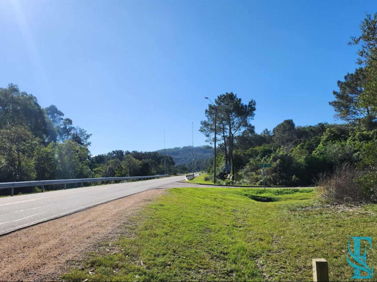 Terreno ID.553 - Vende terreno amplio de 4226 m2, en Las Cumbres- Punta Ballena.