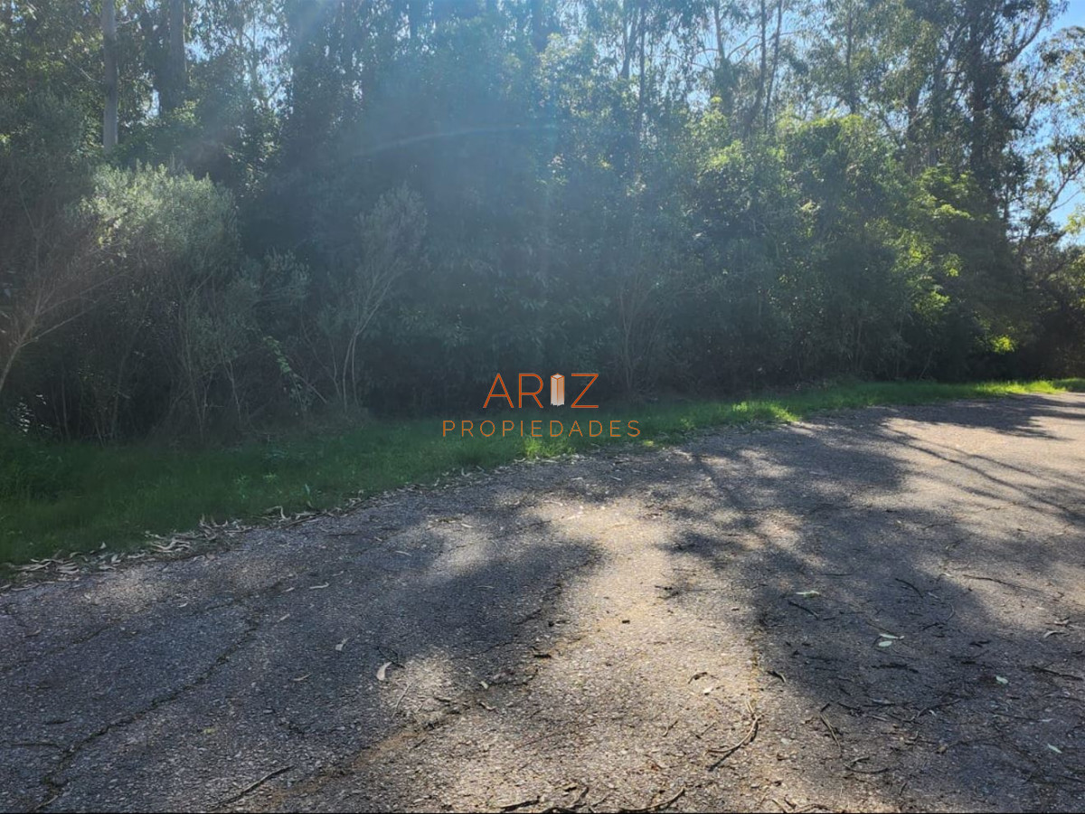Terreno ID.2227 - Vende terreno amplio de 4226 m2, en Las Cumbres- Punta Ballena.
