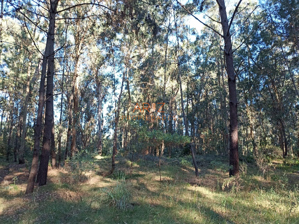 Terreno ID.2046 - Venta Terreno 1300 mts 2 a la venta en Punta del Este Pinares Parque Burnett REBAJADO!