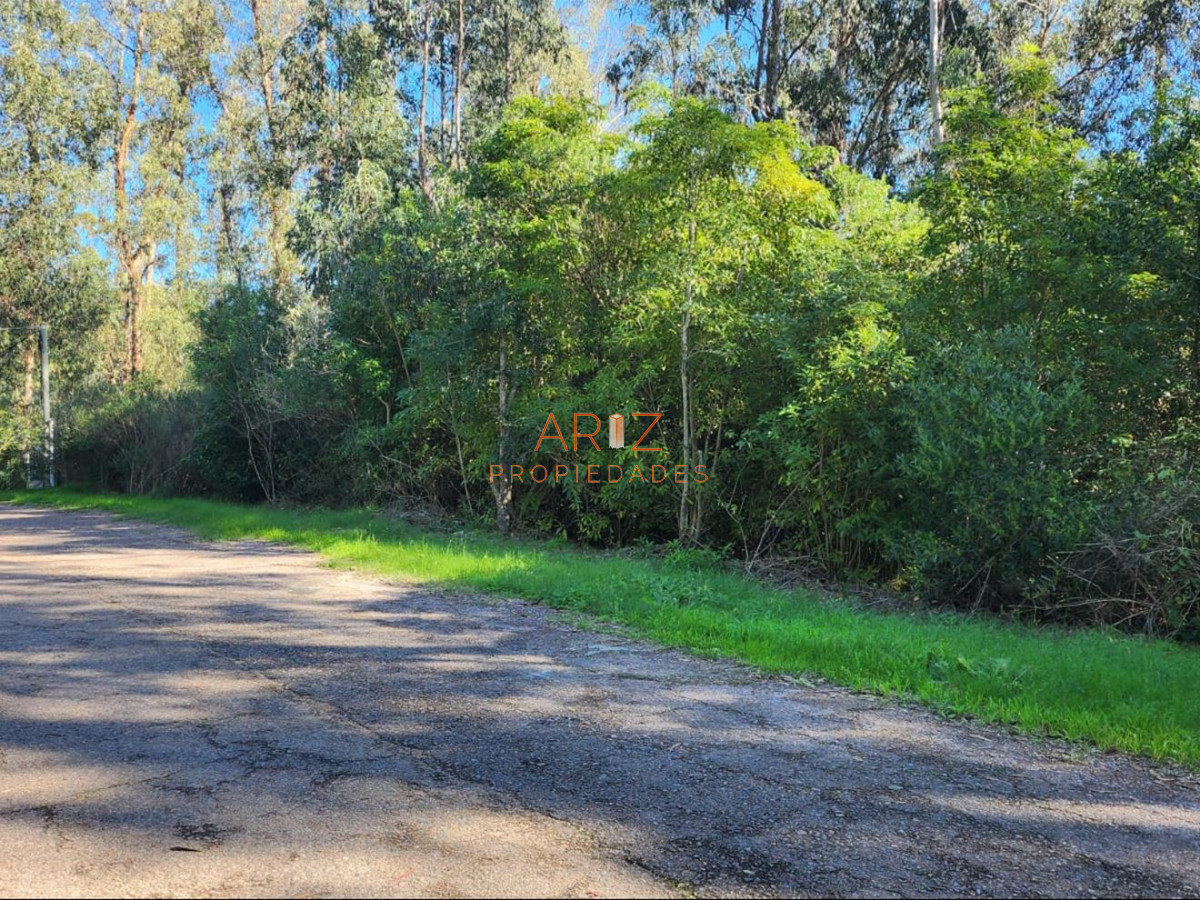 Terreno ID.2227 - Vende terreno amplio de 4226 m2, en Las Cumbres- Punta Ballena.