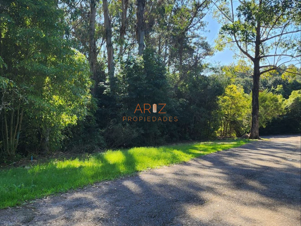 Terreno ID.2227 - Vende terreno amplio de 4226 m2, en Las Cumbres- Punta Ballena.
