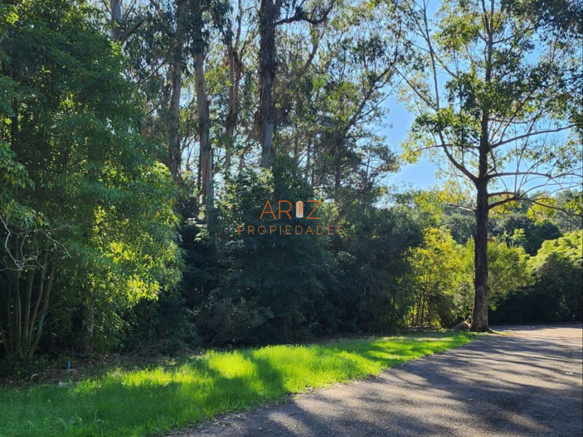Terreno ID.2227 - Vende terreno amplio de 4226 m2, en Las Cumbres- Punta Ballena.