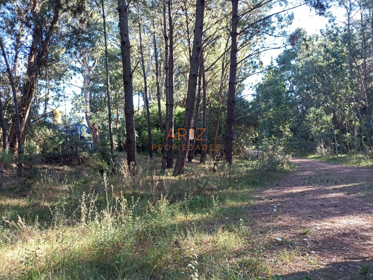 Terreno ID.2100 - VENTA Terreno a la venta en Pinares BURNETT Punta del Este 1700mts2