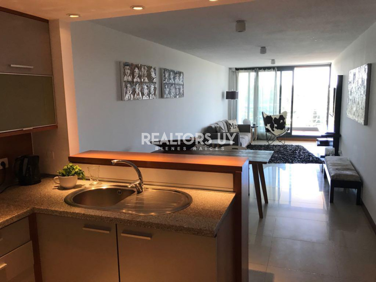 Apartamento ID.39 - Vende departamento de 1 dormitorio y medio en Roosevelt , Punta del Este 