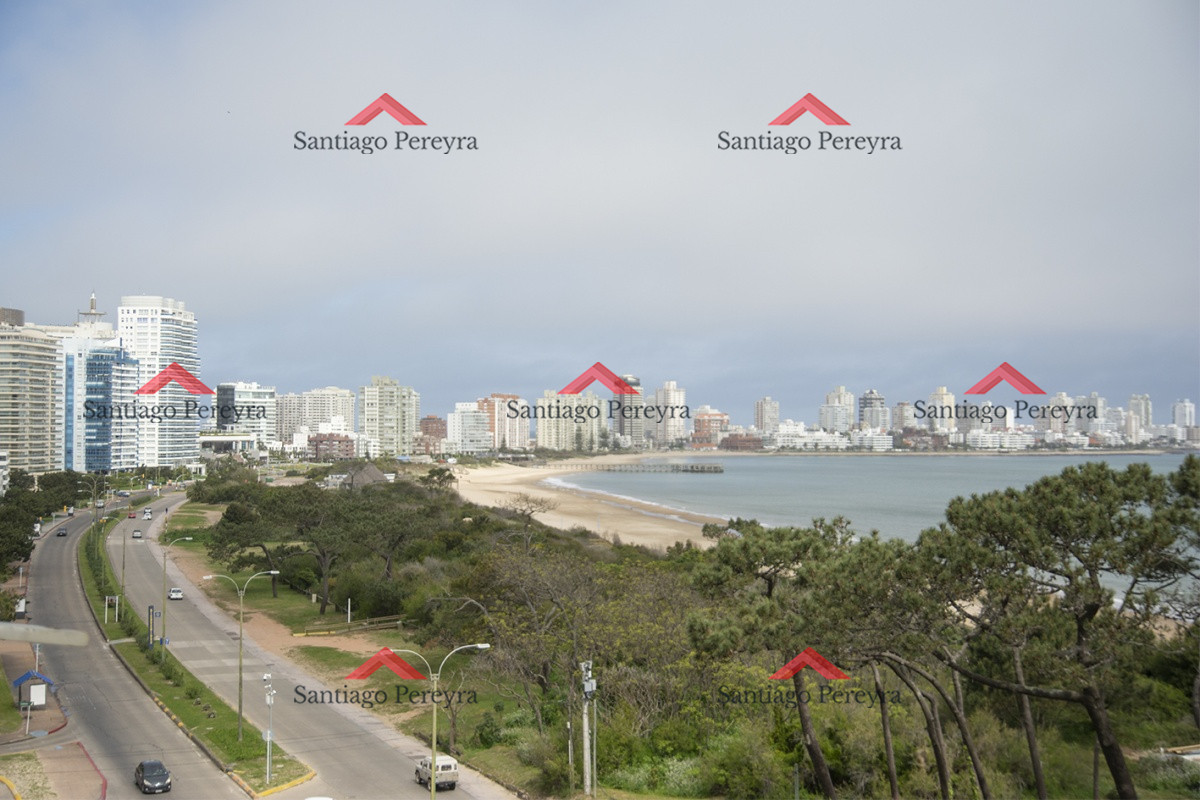 Apartamento ID.8236 - Amplia planta en primera línea al mar