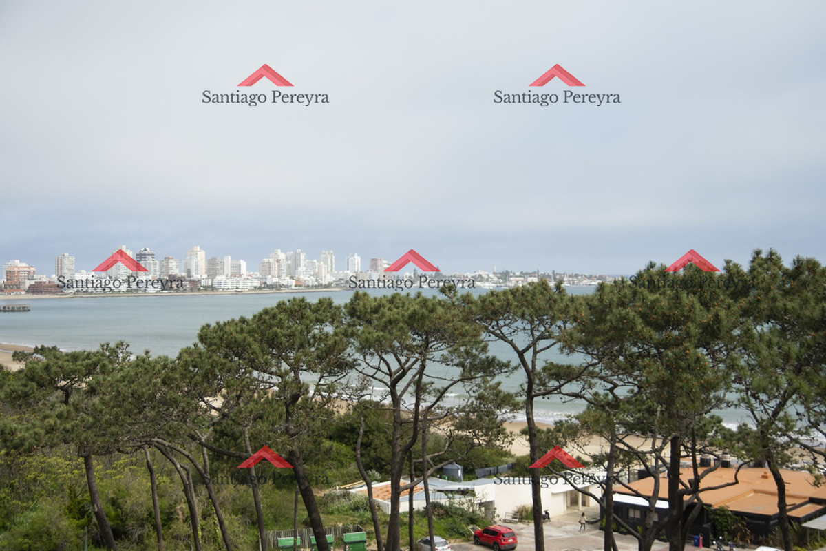 Apartamento ID.8236 - Amplia planta en primera línea al mar