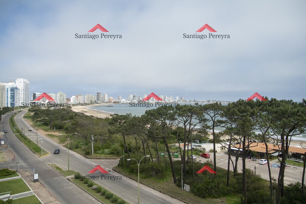 Apartamento ID.8236 - Amplia planta en primera línea al mar