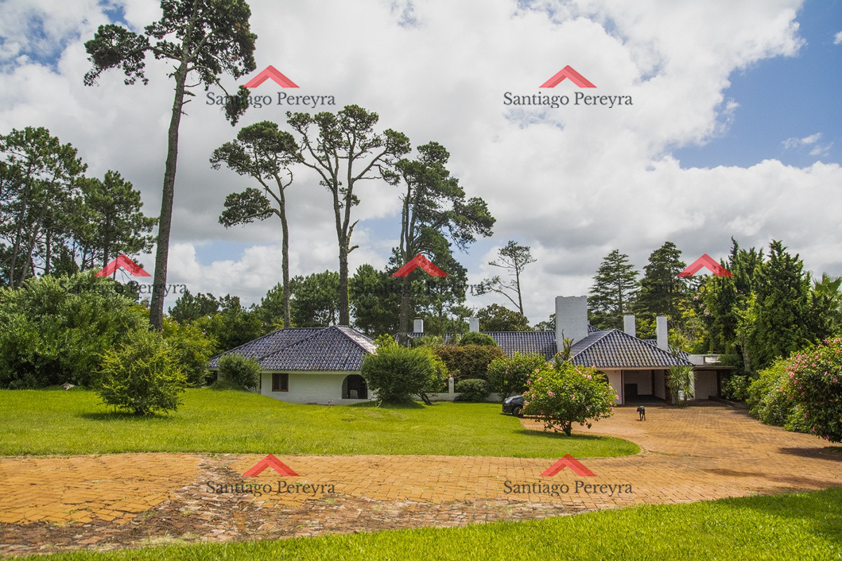 Golf - GoPunta - Portal Inmobiliario de Punta del Este - Maldonado