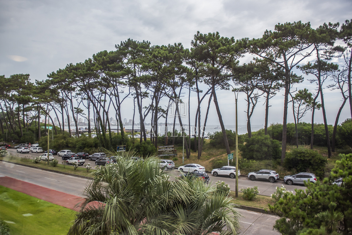 Apartamento ID.253 - Apartamento en Punta del Este, Mansa