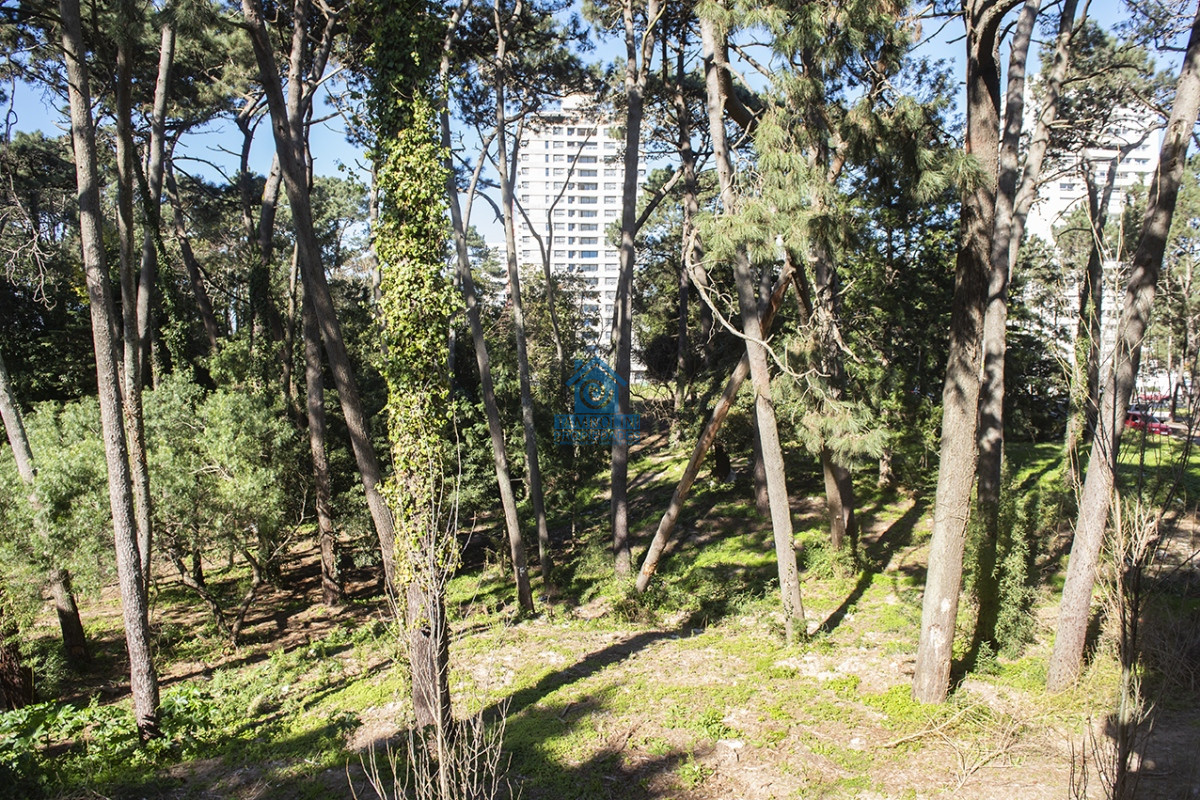 Apartamento ID.740 - Apartamento en venta en Avenue Roosevelt, 2 dormitorios, bajos gastos comunes 