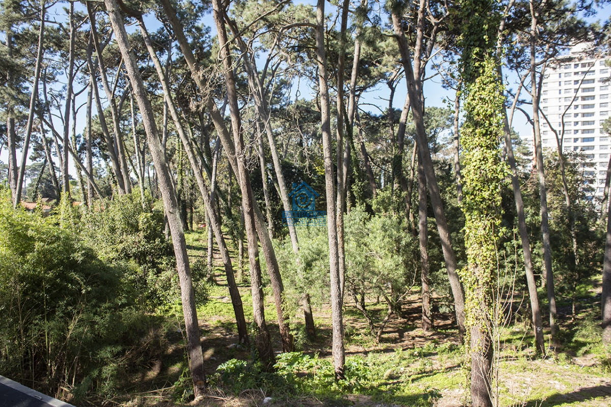 Apartamento ID.740 - Apartamento en venta en Avenue Roosevelt, 2 dormitorios, bajos gastos comunes 