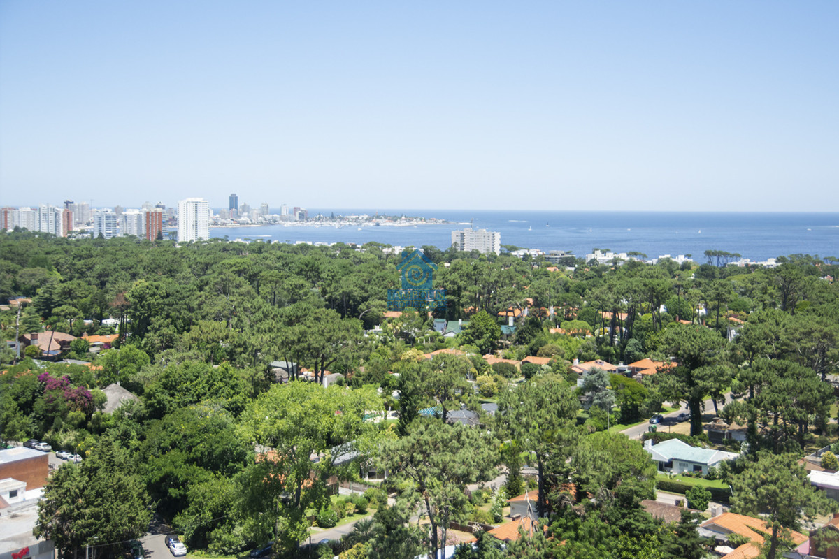 Apartamento ID.1228 - Vende apto de 2 dormitorios con vista al mar en Punta del este