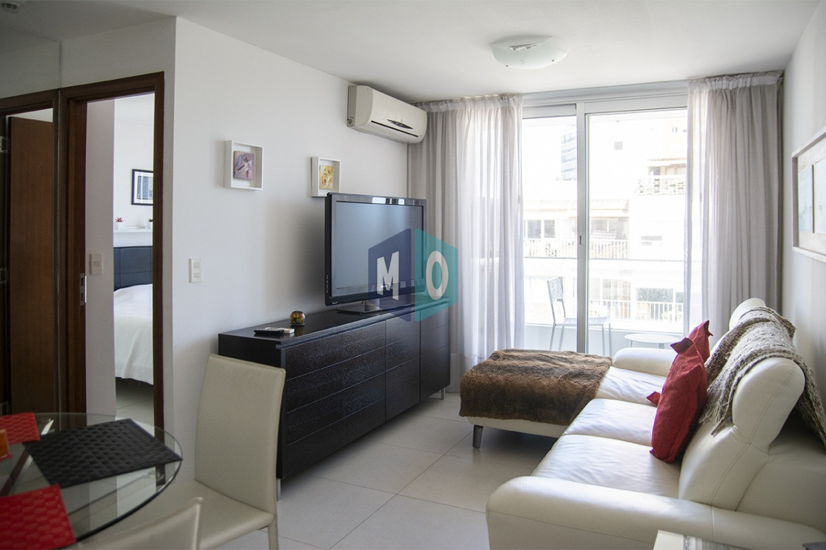 Apartamento ID.1085 - Gran departamento de 1 dormitorio en venta