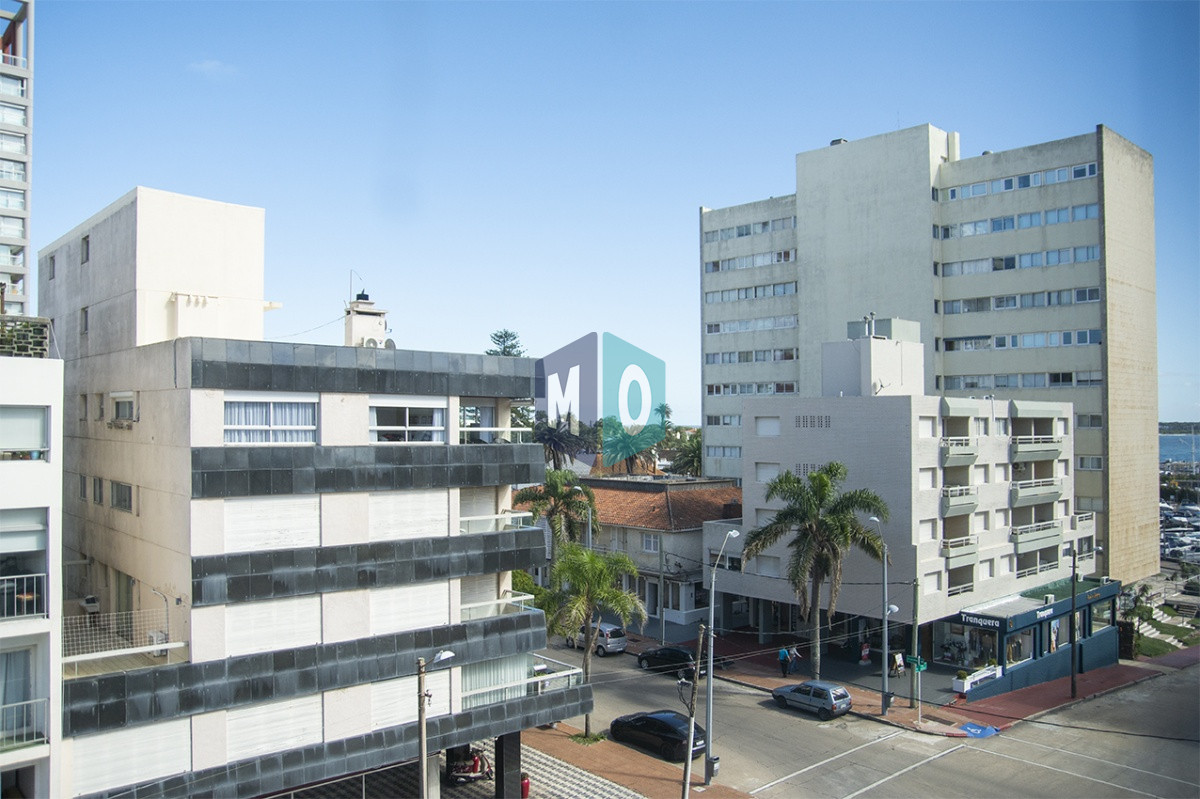 Apartamento ID.1085 - Gran departamento de 1 dormitorio en venta