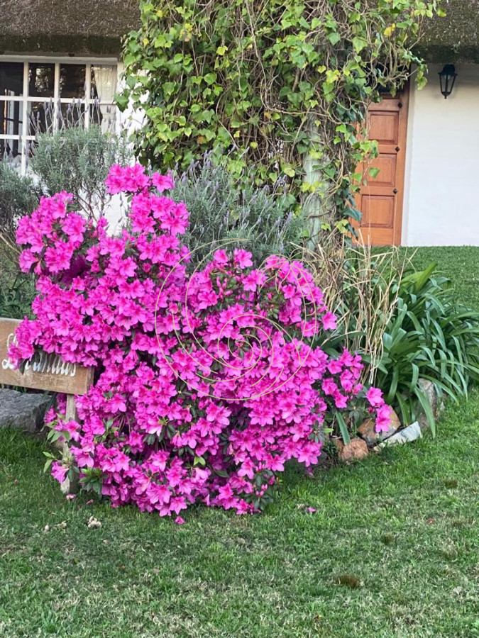 Casa ID.21092394 - Excelente propiedad en venta en zona tranquila. 3 dormitorios.