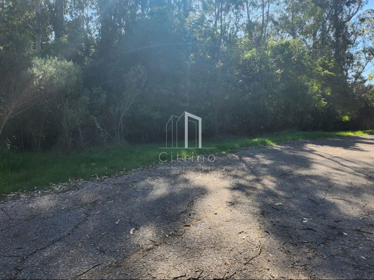 Terreno ID.1394 - Vende terreno amplio de 4226 m2, en Las Cumbres- Punta Ballena.