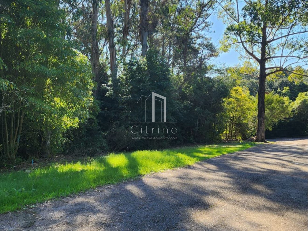 Terreno ID.1394 - Vende terreno amplio de 4226 m2, en Las Cumbres- Punta Ballena.