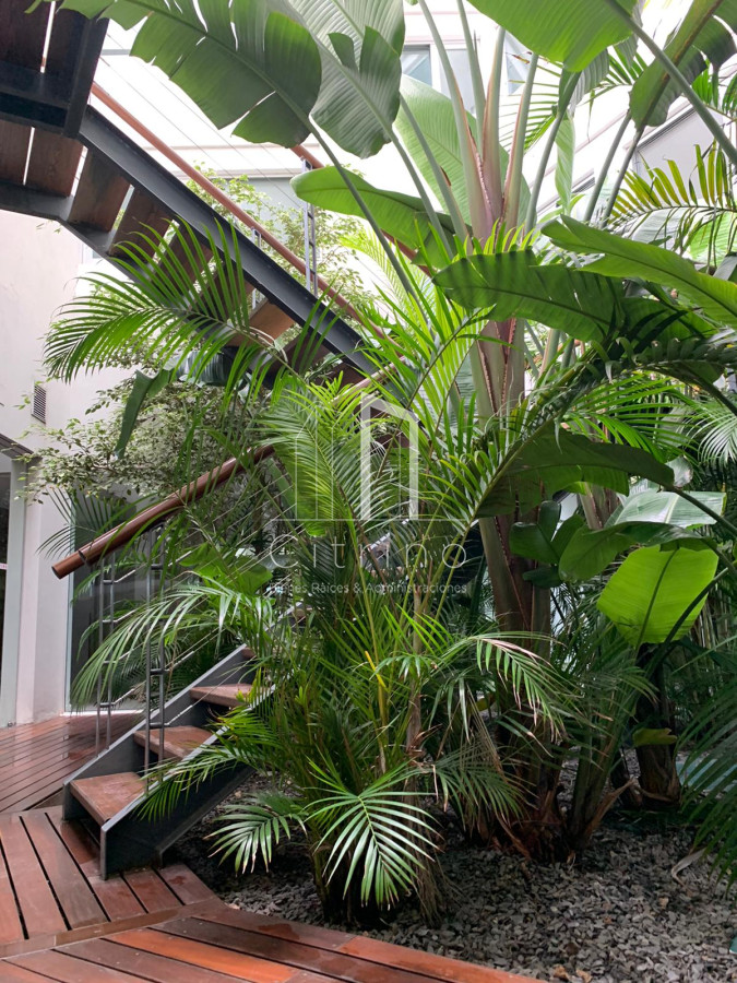 Apartamento ID.347 - Departamento de 3 dormitorios en venta. Gran Oportunidad en Mansa.