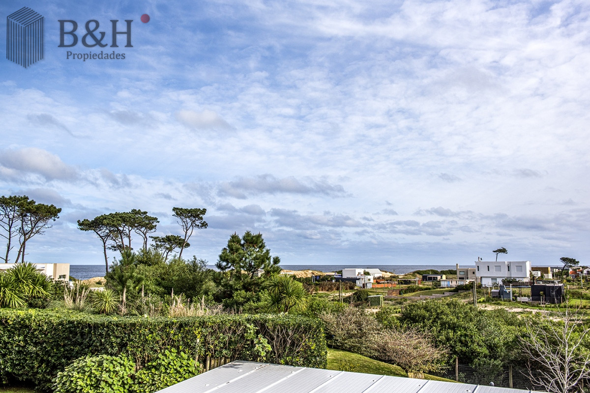 Chihuahua - GoPunta - Portal Inmobiliario de Punta del Este - Maldonado