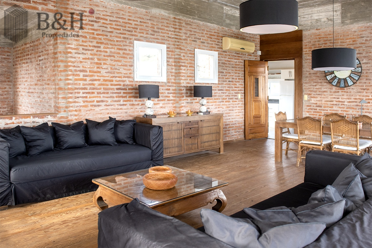 Chihuahua - GoPunta - Portal Inmobiliario de Punta del Este - Maldonado