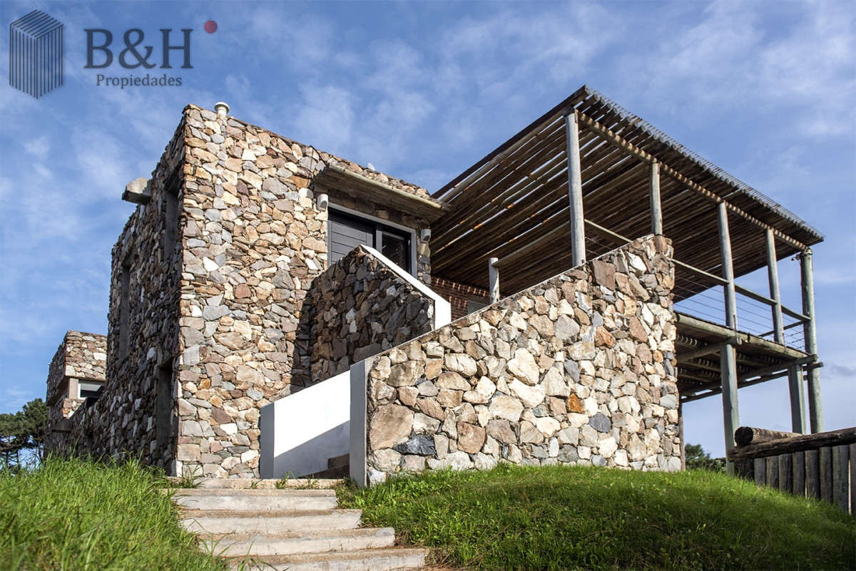 Chihuahua - GoPunta - Portal Inmobiliario de Punta del Este - Maldonado