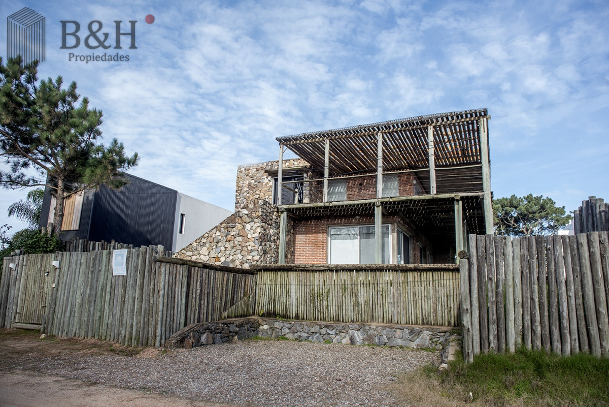 Chihuahua - GoPunta - Portal Inmobiliario de Punta del Este - Maldonado