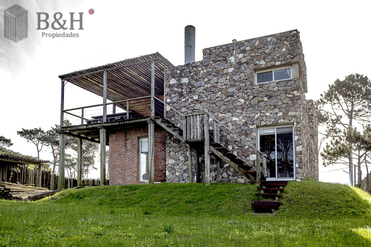 Chihuahua - GoPunta - Portal Inmobiliario de Punta del Este - Maldonado