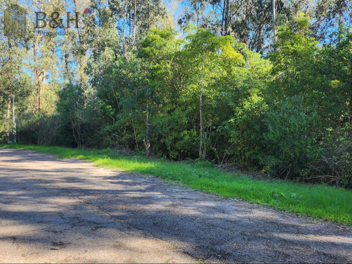 Las Cumbres - GoPunta - Portal Inmobiliario de Punta del Este - Maldonado