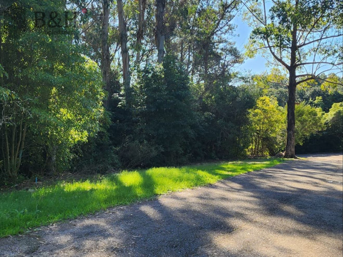 Las Cumbres - GoPunta - Portal Inmobiliario de Punta del Este - Maldonado