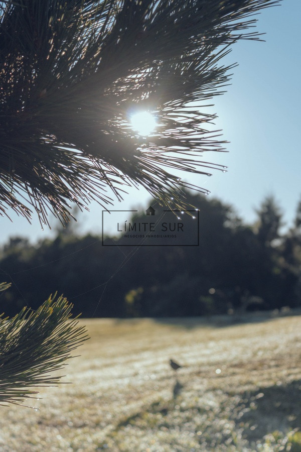 Apartamento ID.206 - Comodo e iluminado departamento en venta de 3 dormitorios con preciosa vista al mar. Veramansa