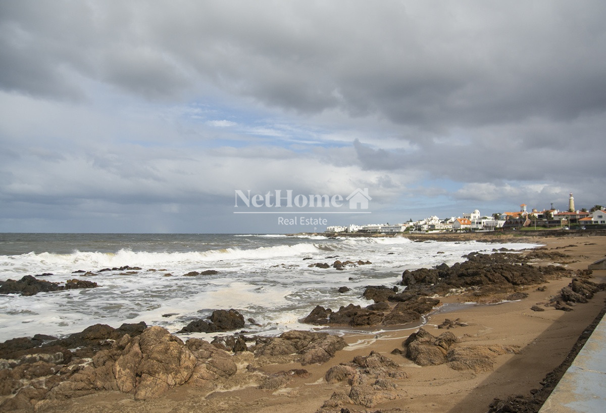 Apartamento ID.221 - Playa Brava Apartamento 3 dormitorios Frente al mar