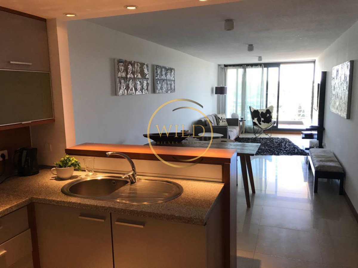 Apartamento ID.2012 - Vende departamento de 1 dormitorio y medio en Roosevelt , Punta del Este 