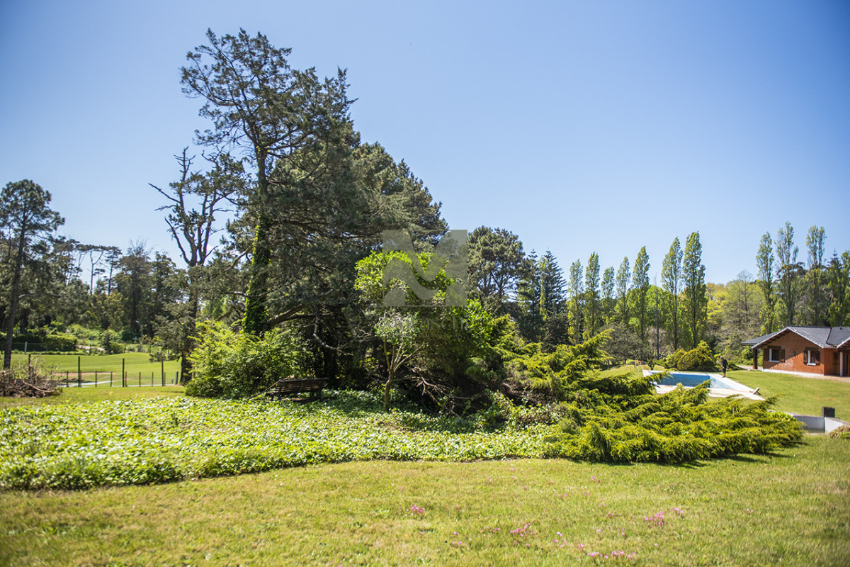Casa ID.860 - En venta casa de 4 dormitorios, con agradable entorno en Golf, Punta del Este.