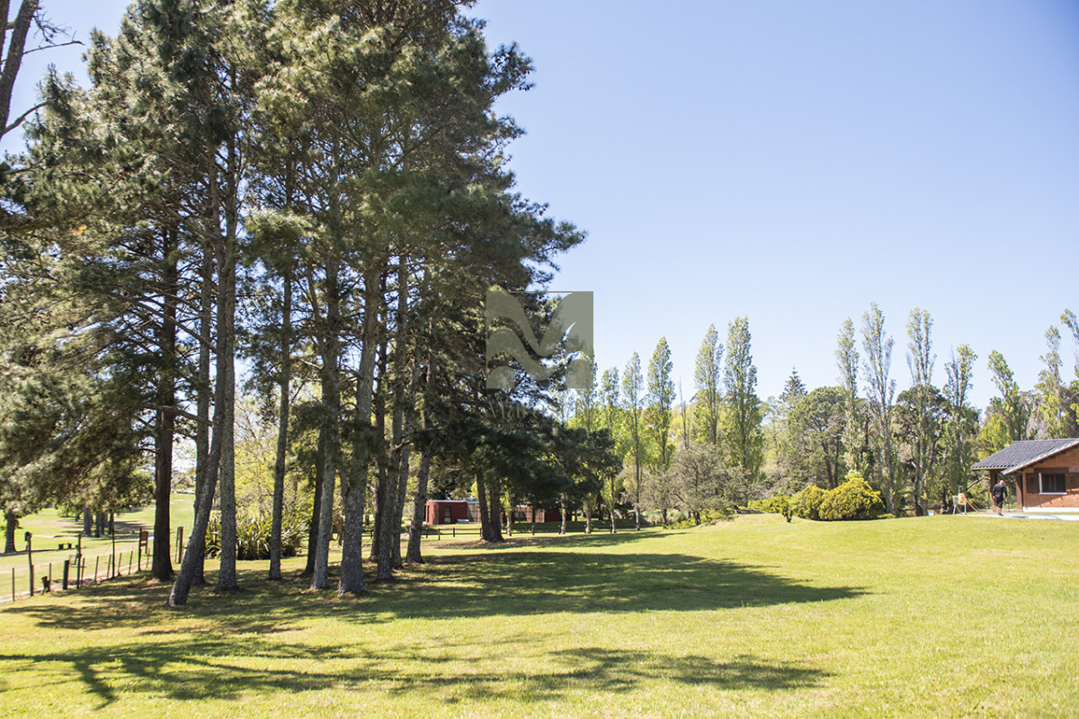 Casa ID.860 - En venta casa de 4 dormitorios, con agradable entorno en Golf, Punta del Este.