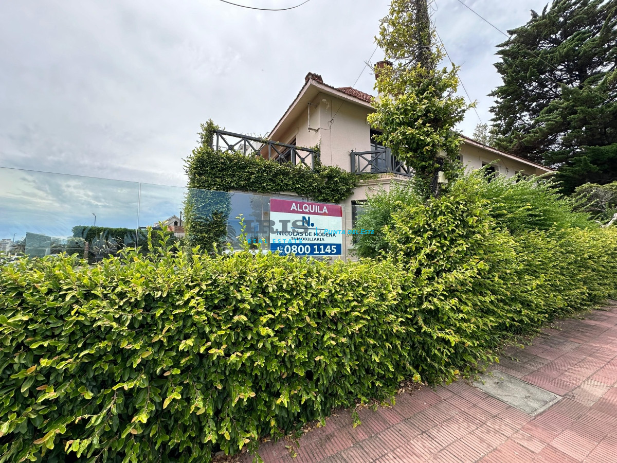 Puerto - GoPunta - Portal Inmobiliario de Punta del Este - Maldonado