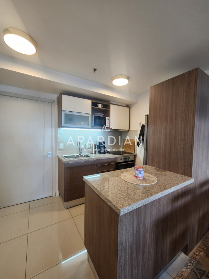 Apartamento ID.21099199 - En venta apartamento de 1 dormitorio, con excelente vista en Roosevelt, Punta del Este