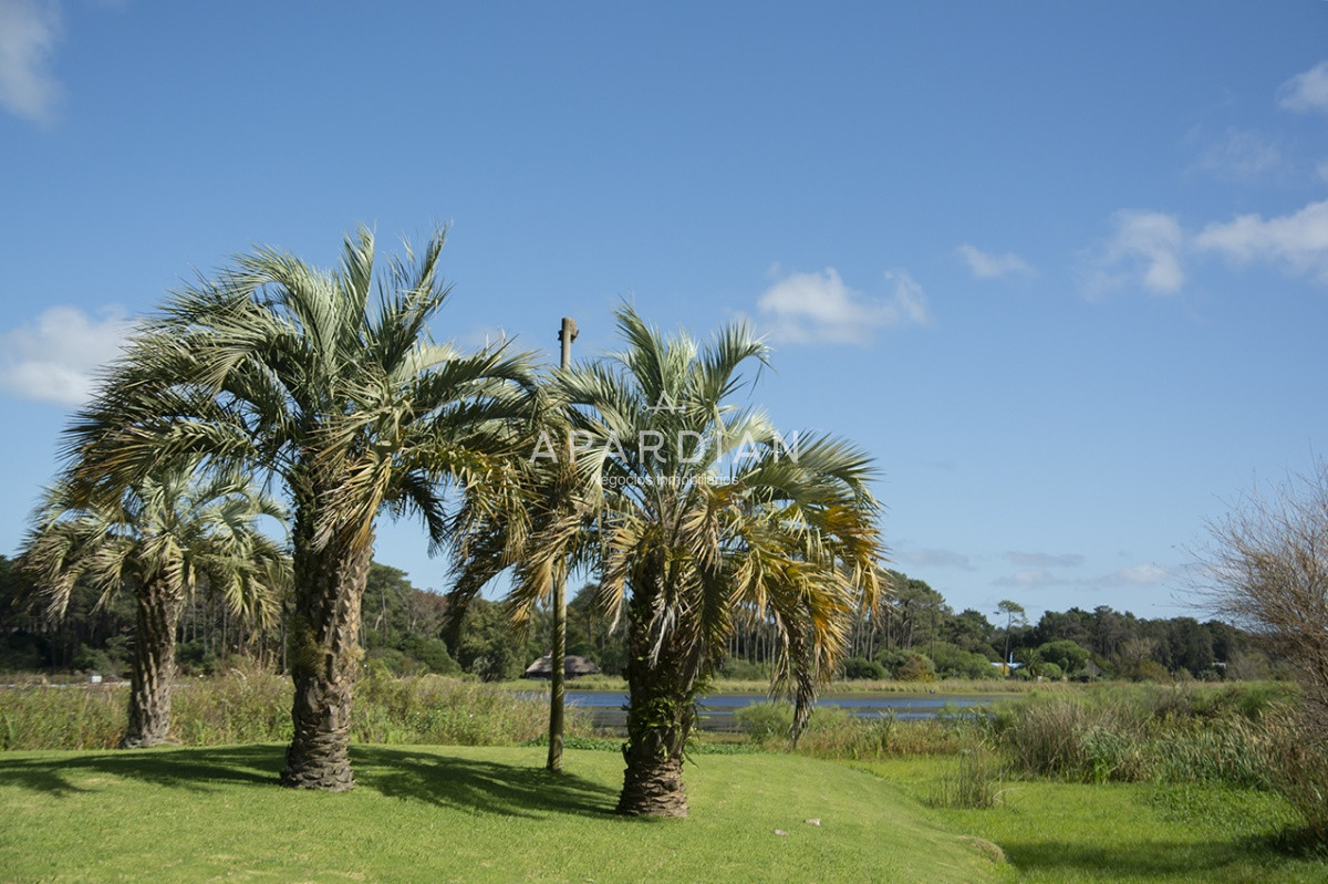 Casa ID.21098117 - Hermosa casa de gran tamaño en venta,  zona de Pinares, Punta del Este