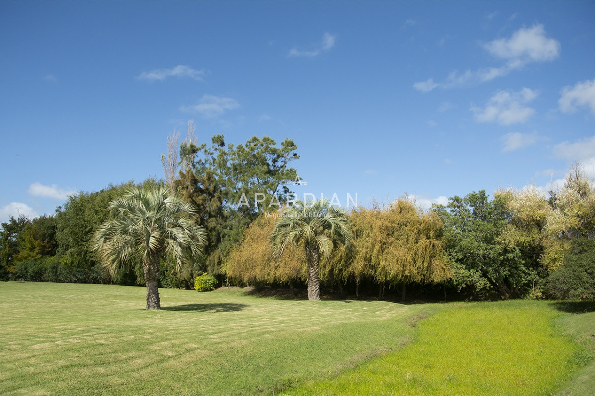Casa ID.21098117 - Hermosa casa de gran tamaño en venta,  zona de Pinares, Punta del Este