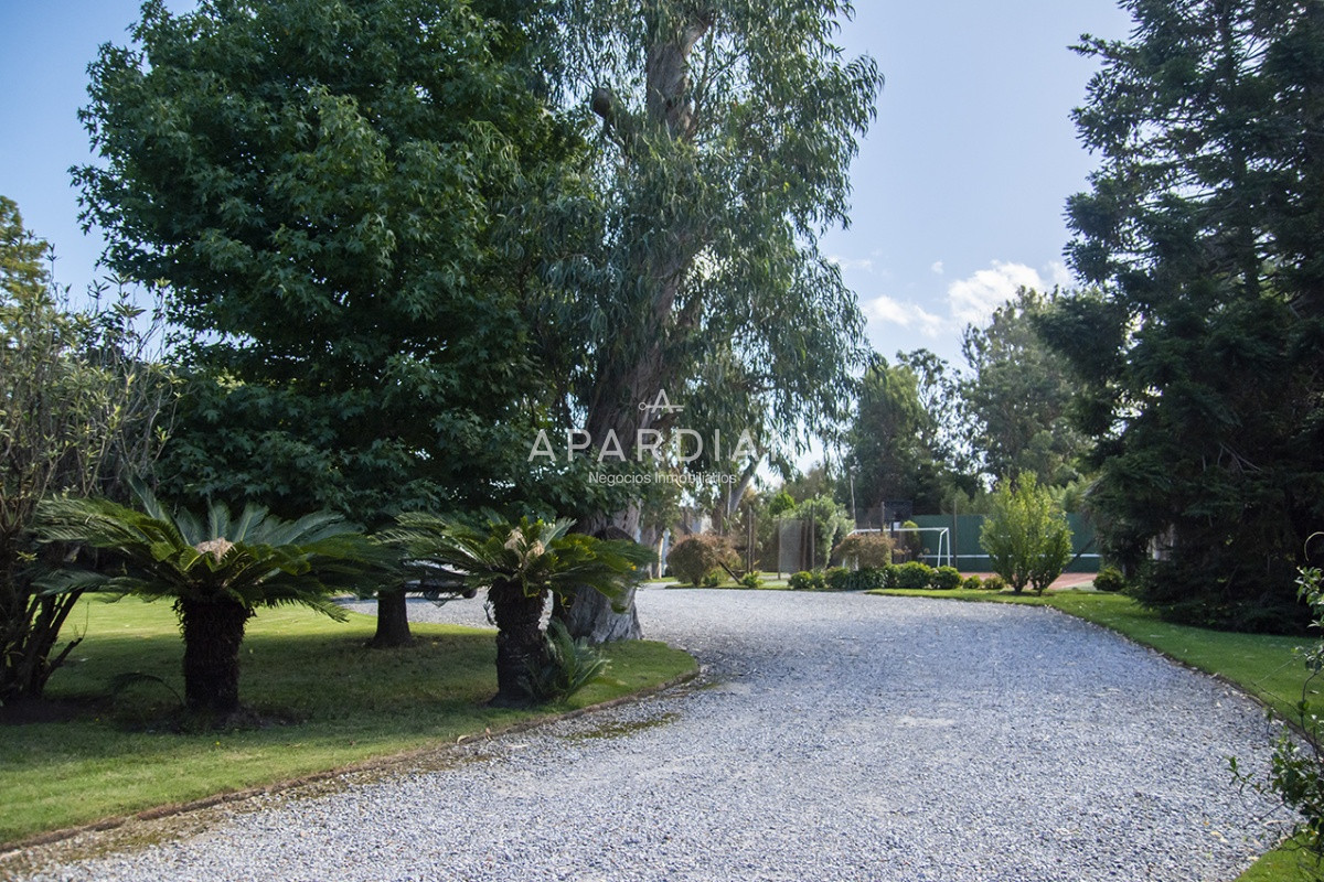 Casa ID.21098117 - Hermosa casa de gran tamaño en venta,  zona de Pinares, Punta del Este