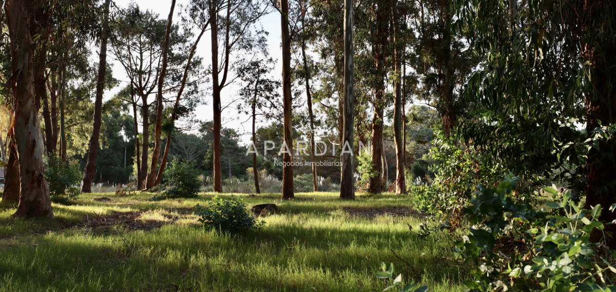 Terreno ID.21098754 - Terreno en barrio privado Reserva Montoya 500 mts del mar