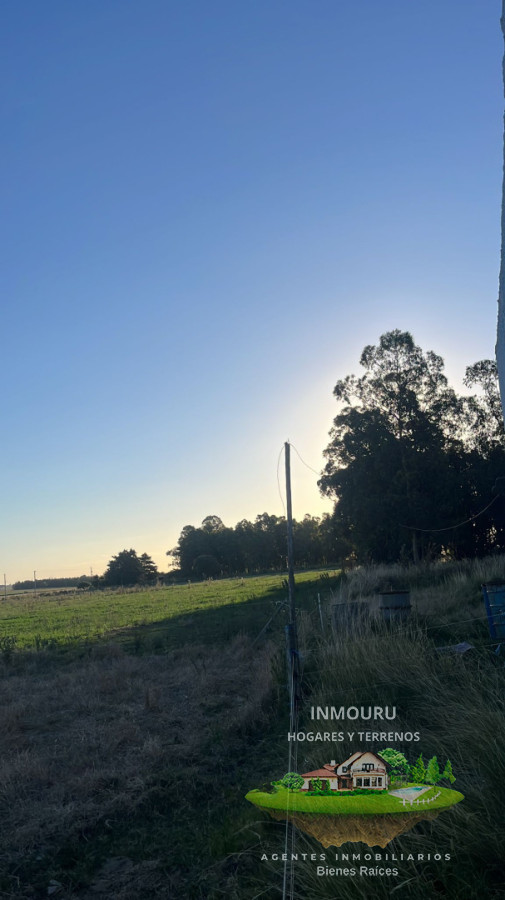 Campo Ref.2931 - Campo de 10.5 Ha bien logistico en florida