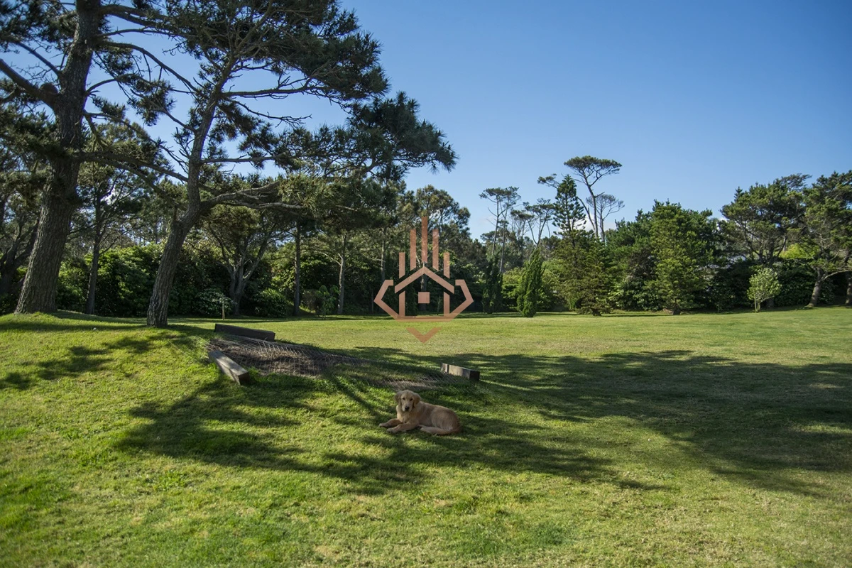 Magnífica Mansión Frente al Mar: Lujo y Vistas Inigualables.