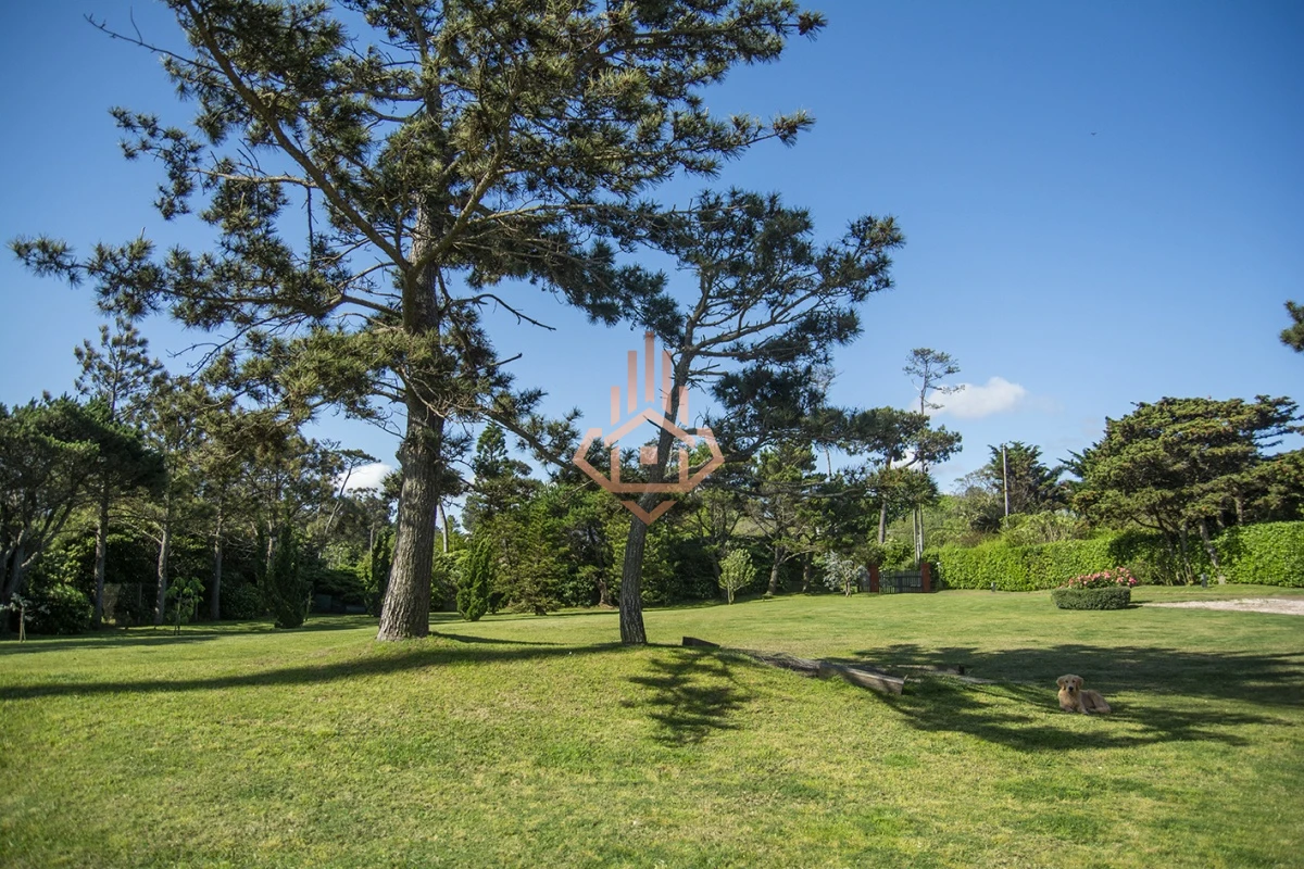 Magnífica Mansión Frente al Mar: Lujo y Vistas Inigualables.