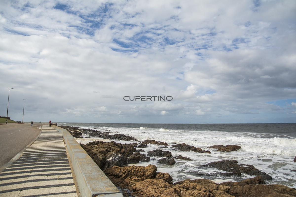 Apartamento ID.2036 - Vende apartamento. Edificio Bonaire. 3 dormitorios con servicios. Brava, Peninsula, Punta del Este