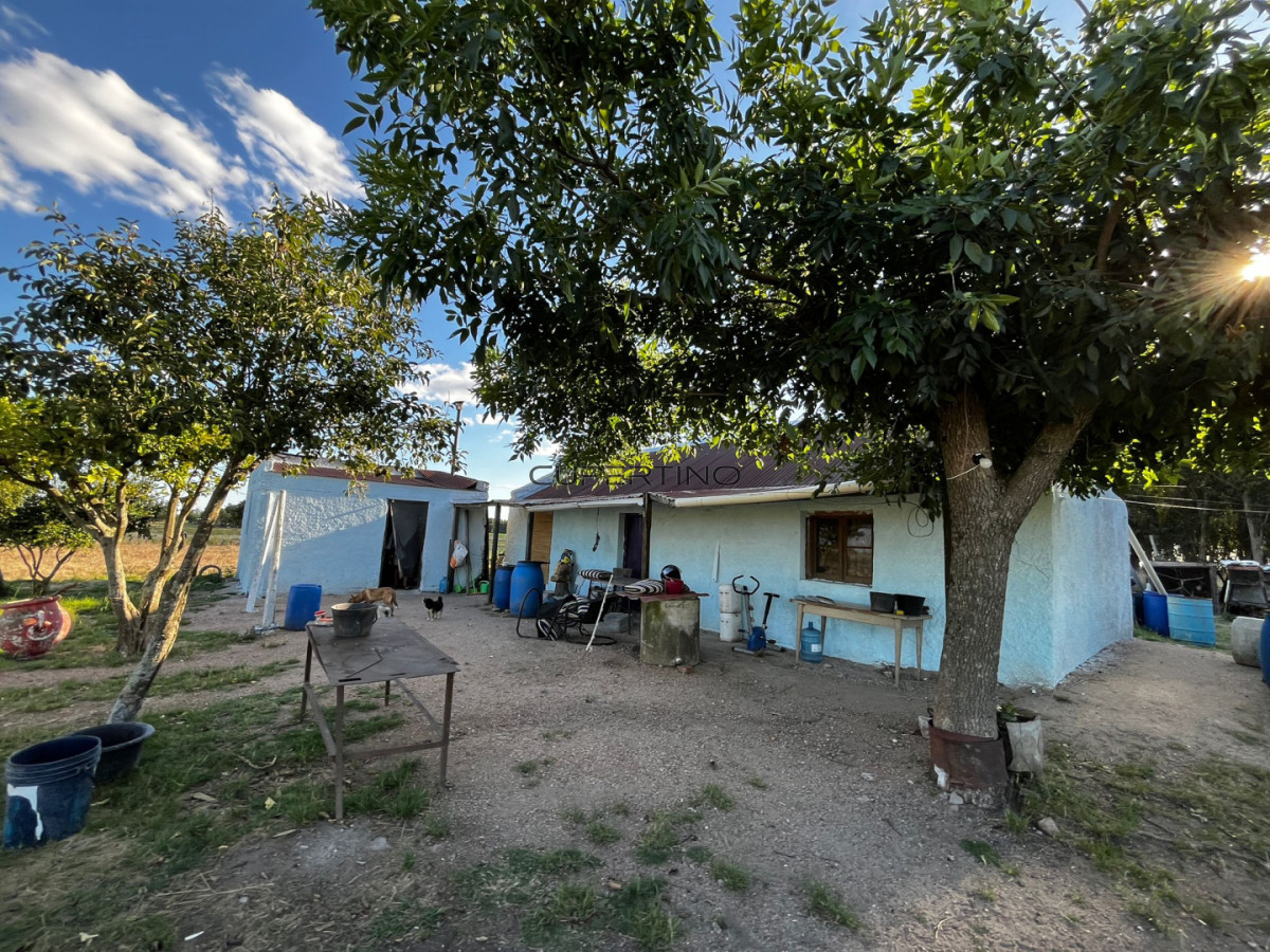 Campo Ref.2176 - Campo de 10.5 Ha bien logistico en florida