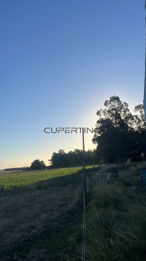 Campo Ref.2176 - Campo de 10.5 Ha bien logistico en florida