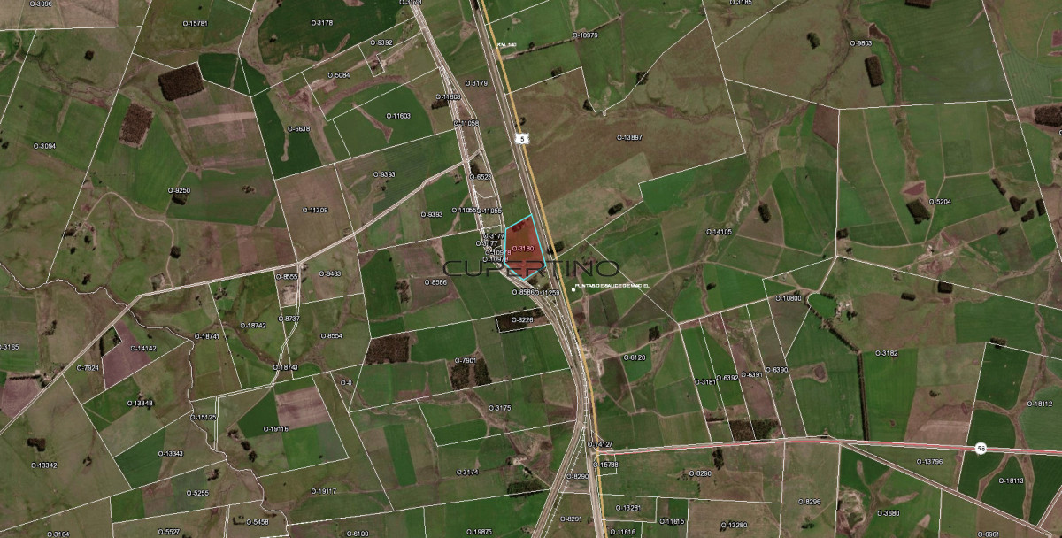 Campo Ref.2176 - Campo de 10.5 Ha bien logistico en florida