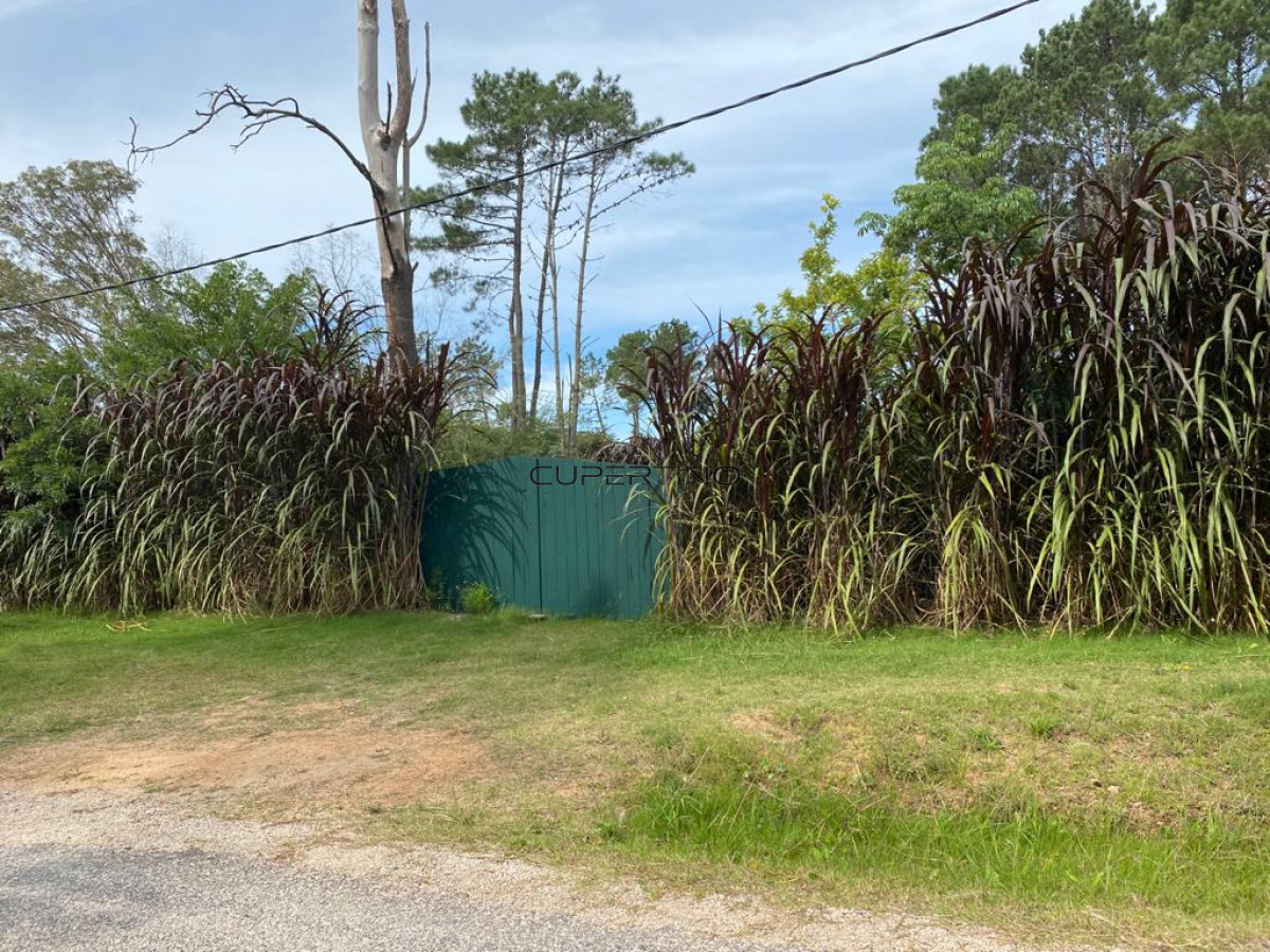Terreno en Punta del Este, Golf — foto 2